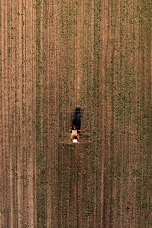 Foto de Aerial shot of agricultural tractor with crop sprayer attached spraying herbicide chemical over corn plantation, drone pov directly above - Imagen libre de derechos