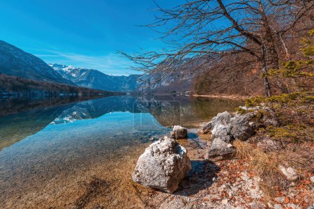 Téléchargez les photos : Beau paysage pittoresque du lac glaciaire Bohinj en Slovénie avec eau cristalline et rivage rocheux le matin ensoleillé d'hiver avec les Alpes juliennes en arrière-plan - en image libre de droit