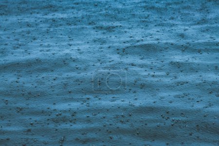 Téléchargez les photos : Gouttes de pluie tombant sur la surface de l'eau de mer pendant la pluie de pluie d'été, fond abstrait - en image libre de droit