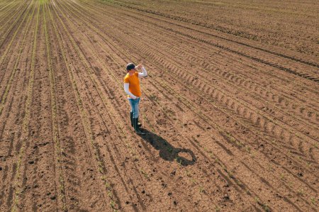 Photo for Aerial shot of female farmer standing in corn sprout field and examining crops. Farm worker wearing trucker's hat and jeans on plantation from drone pov. - Royalty Free Image