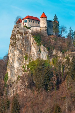 Téléchargez les photos : Le château de Bled est le plus ancien château de Slovénie et l'un de ses monuments les plus célèbres datant de l'an 1004, tourné contre le ciel du matin de février - en image libre de droit