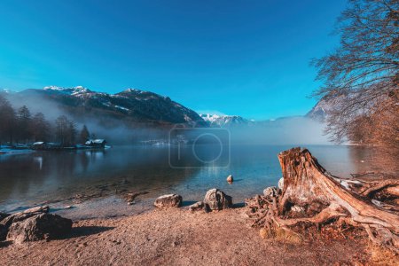 Foto de Viejo tocón de árbol en la orilla del lago Bohinj en la fría mañana de febrero de invierno con niebla elevándose por encima del agua, enfoque selectivo - Imagen libre de derechos