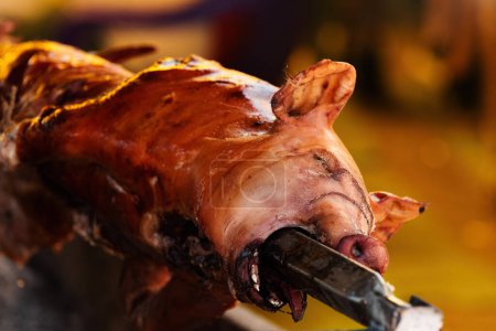 Photo for Whole pig spit roasted on traditional festival in Serbia, selective focus - Royalty Free Image