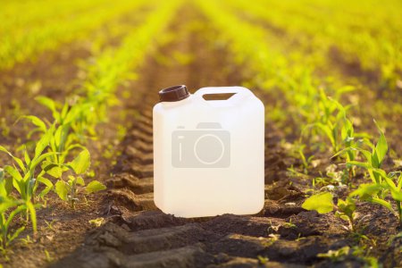 Téléchargez les photos : Blank white herbicide canister can in corn seedling field in springtime sunset, selective focus - en image libre de droit