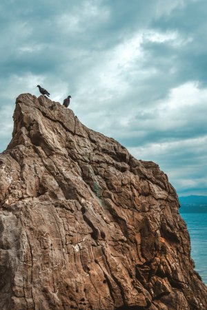 Téléchargez les photos : Pigeons sur une grande roche contre un ciel atmosphérique dramatique avec des nuages sombres en arrière-plan, foyer sélectif - en image libre de droit