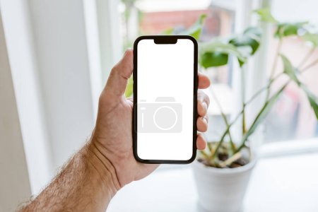 Foto de Maqueta de aplicación de identificador de planta, hombre sosteniendo teléfono inteligente con pantalla táctil blanca en blanco en frente de la planta de la casa en maceta, enfoque selectivo - Imagen libre de derechos