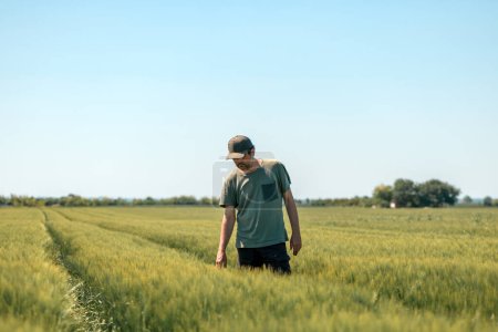 Middle-aged male farmer walking in unripe barley crop field and examining development of plants, farm worker wearing green t-shirt and trucker hat in Hordeum Vulgare plantation, selective focus