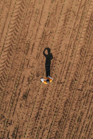 Photo for Aerial shot of female farmer standing in corn sprout field and examining crops. Farm worker wearing trucker's hat and jeans on plantation from drone pov. - Royalty Free Image