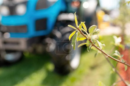 Foto de Agricultural tractor in apple fruit orchard on sunny summer day, selective focus on tree branch with leaves - Imagen libre de derechos