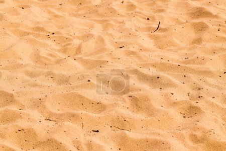 Photo for Dirty beach sand surface as summer season background, selective focus - Royalty Free Image