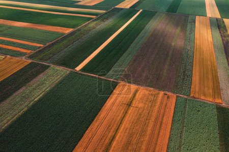 Fondo agrícola abstracto, hermoso patrón de mosaico colorido de campos cultivados desde el punto de vista del dron
