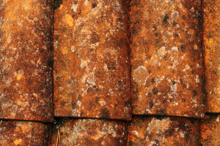 Foto de Closeup of old rustic terracotta roof tiles pattern as background, architectural detail from Lovran, Croatia - Imagen libre de derechos