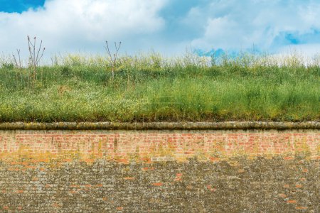 Photo for Fortification brick wall with spring grass on top and blue sky with clouds in background, copy space included - Royalty Free Image