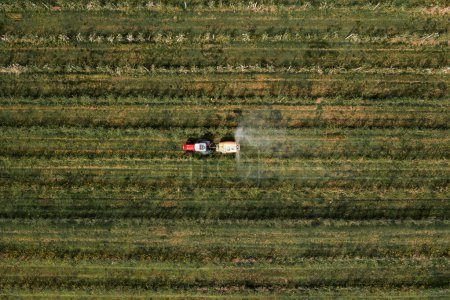 Téléchargez les photos : Aerial view of agricultural tractor with crop sprayer applying insecticide in apple fruit orchard, top view - en image libre de droit