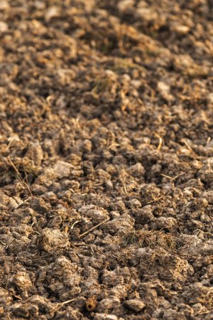Foto de Suelo labrado en campo preparado para la temporada de siembra, primer plano con enfoque selectivo - Imagen libre de derechos