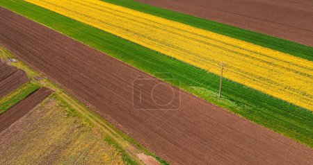 Téléchargez les photos : Vue aérienne du poteau électrique dans un champ cultivé depuis le point de vue du drone avec espace de copie - en image libre de droit