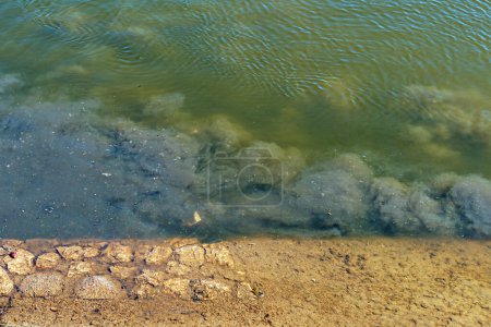 Foto de Contaminación del agua del Danubio en Novi Sad. Salida directa de aguas residuales en el río. Enfoque selectivo. - Imagen libre de derechos