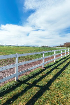 Téléchargez les photos : Paddock cheval clôture en bois blanc sur la ferme équestre le jour ensoleillé du printemps, image verticale - en image libre de droit