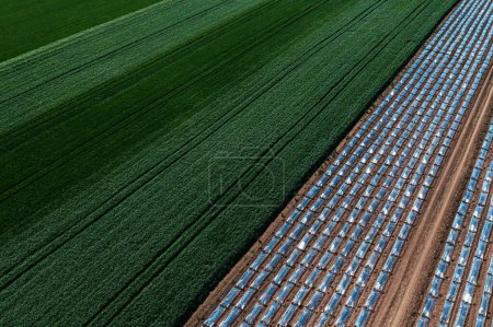 Téléchargez les photos : Vue aérienne du paillis film plastique tunnel hothouse équipement sur la plantation de pastèque de drone pov, vue grand angle - en image libre de droit