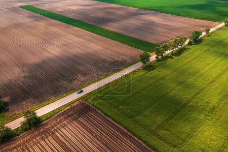 Photo for Automobile on straight asphalt highway through cultivated countryside landscape, aerial shot from drone pov - Royalty Free Image