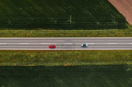 Photo for Two automobiles on straight asphalt highway through cultivated countryside landscape, aerial shot from drone pov, top view - Royalty Free Image