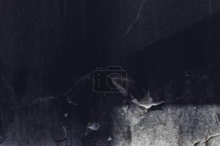 Photo for Dark grunge background, texture of an old black wall as design element - Royalty Free Image