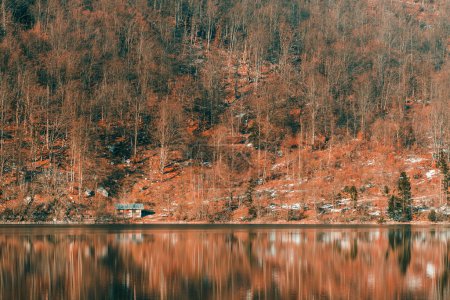 Téléchargez les photos : Chalet en bois au bord du lac Bohinj dans le parc national slovène Triglav, célèbre destination de voyage toute l'année - en image libre de droit
