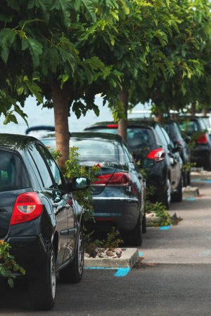 Foto de Coches aparcados en el estacionamiento con árboles, enfoque selectivo - Imagen libre de derechos