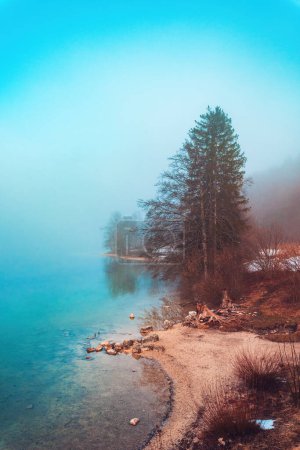 Téléchargez les photos : Vieux tronc d'arbre et racines au bord du lac Bohinj à froid matin de février d'hiver avec brouillard s'élevant au-dessus de l'eau, foyer sélectif - en image libre de droit