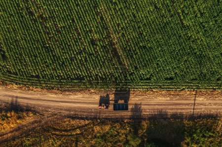 Photo for Agricultural tractor with empty wagon trailer on countryside dirt road in summer, casting shadow on the ground, aerial shot from drone pov, directly above - Royalty Free Image