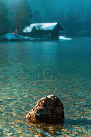 Téléchargez les photos : Pierre dans le lac Bohinj dans le brouillard matin d'hiver, foyer sélectif - en image libre de droit