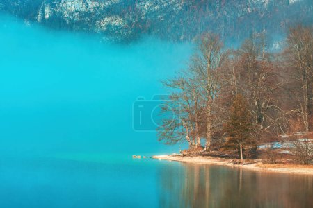 Téléchargez les photos : Brouillard entourant les arbres au bord du lac Bohinj dans la froide matinée de février, mise au point sélective - en image libre de droit