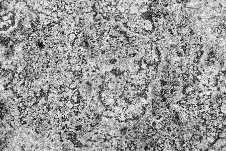 Photo for Grunge texture, monochromatic image of roughly textured surface as abstract background, top down - Royalty Free Image