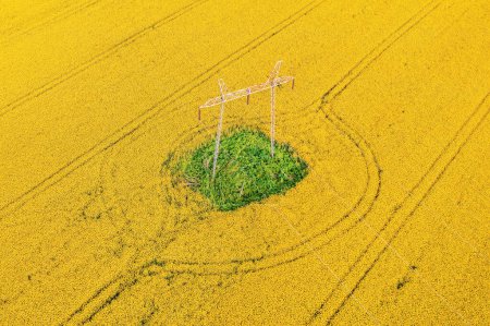 Téléchargez les photos : Pylône électrique dans un champ de canola en fleurs, prise de vue aérienne depuis un drone pov vue grand angle - en image libre de droit