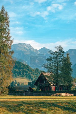Téléchargez les photos : Beau paysage alpin avec maison de montagne et grands arbres le matin d'été, Alpes juliennes en arrière-plan, image panoramique du parc national du Triglav en Slovénie, image verticale - en image libre de droit
