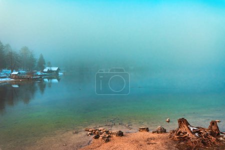 Téléchargez les photos : Beau paysage pittoresque du lac Bohinj dans le brouillard matin d'hiver avec vieux tronc d'arbre sur le rivage et hangar à bateaux en bois avec jetée à distance, foyer sélectif - en image libre de droit