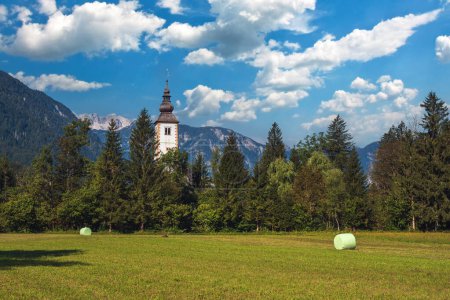 Photo for Green meadow and rolled grass in Bohinj valley with tower of Church of St. John the Baptist behind the trees in summer morning - Royalty Free Image