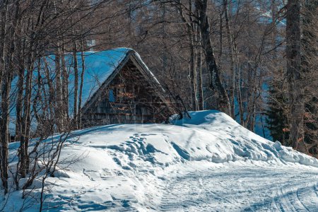 Photo for Mountain cottage roof under snow in winter, selective focus - Royalty Free Image