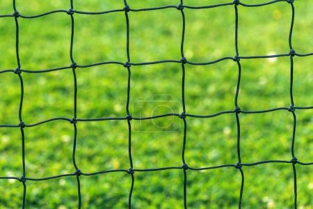 Téléchargez les photos : Filet de but de football sur fond d'herbe verte, mise au point sélective - en image libre de droit