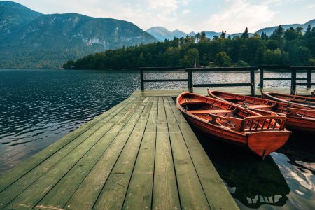 Téléchargez les photos : Dériveurs en bois sur le lac Bohinj en Slovénie, focus sélectif - en image libre de droit