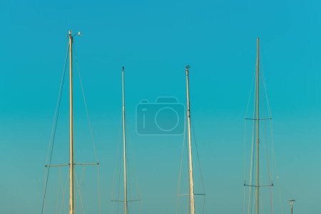 Photo for Boat masts against blue sky in summer morning - Royalty Free Image