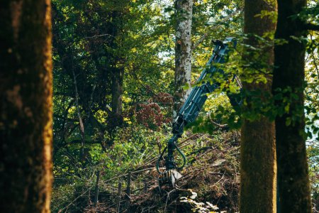 Téléchargez les photos : Machines de déforestation travaillant dans les forêts coupe des troncs d'arbres et ramassage des branches, orientation sélective - en image libre de droit