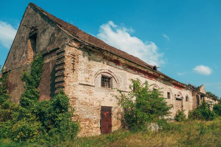 Téléchargez les photos : Ancien bâtiment de ferme abandonné qui était autrefois utilisé comme écurie en après-midi d'été - en image libre de droit