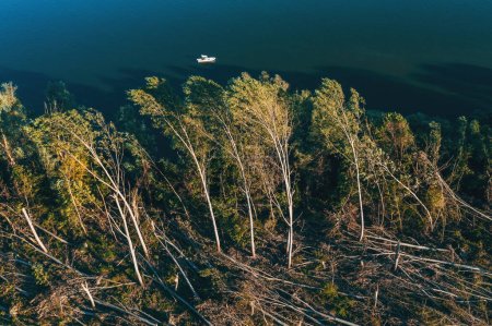 Foto de Plano aéreo de paisaje forestal devastado después de tormenta de supercélulas en verano, dron pov disparo de daño ambiental deforestación paisaje desde arriba - Imagen libre de derechos
