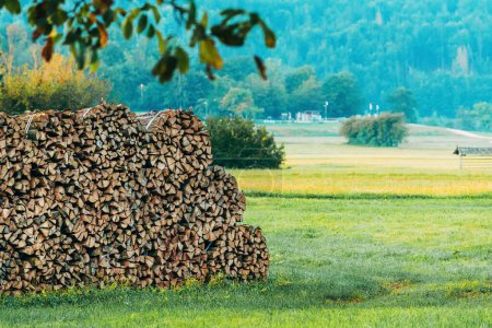 Photo for Heap of neatly stacked chopped firewood stands in the farm's backyard, poised for the approaching winter heating season. Selective focus. - Royalty Free Image