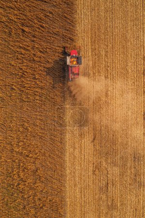 Photo for Drone photography of red combine harvester harvesting ripe rapeseed crop plantation field in summer, aerial shot directly above - Royalty Free Image
