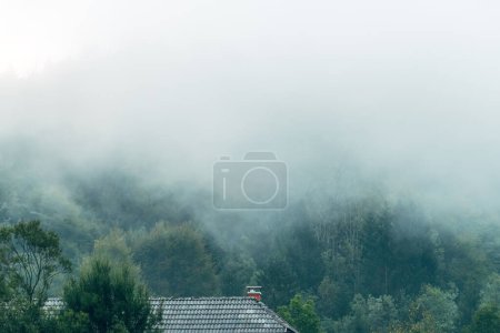 Foto de Nubes de niebla sobre una casa de montaña en el paisaje forestal esloveno de los Alpes Julianos, enfoque selectivo - Imagen libre de derechos
