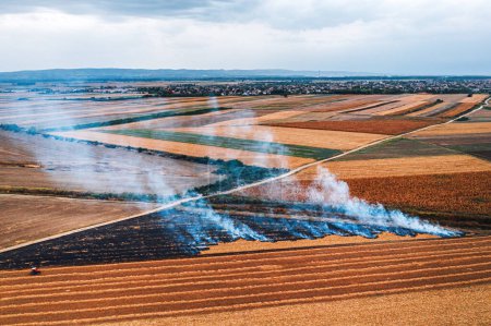 Téléchargez les photos : Champ de blé chaume brûlant après la récolte des grains est l'une des principales causes de la pollution de l'air, tir aérien à partir de drone pov, vue grand angle - en image libre de droit