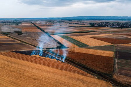 Foto de Campo de trigo rastrojo quema después de la cosecha de granos es una de las principales causas de la contaminación del aire, tiro aéreo desde el dron pov, vista de ángulo alto - Imagen libre de derechos