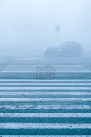 Téléchargez les photos : Zèbre piéton traversant sur la route dans le brouillard matin d'hiver, mise au point sélective - en image libre de droit